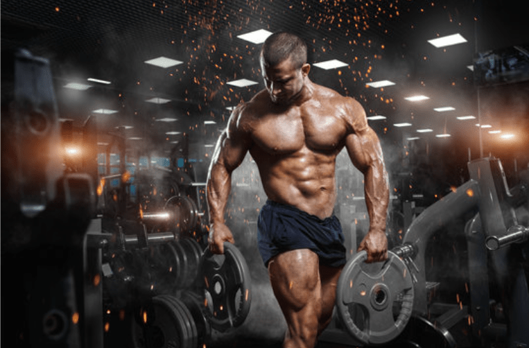 NP Nutrition - L-Glutamin &  BCAA (Original) - Kahn Health